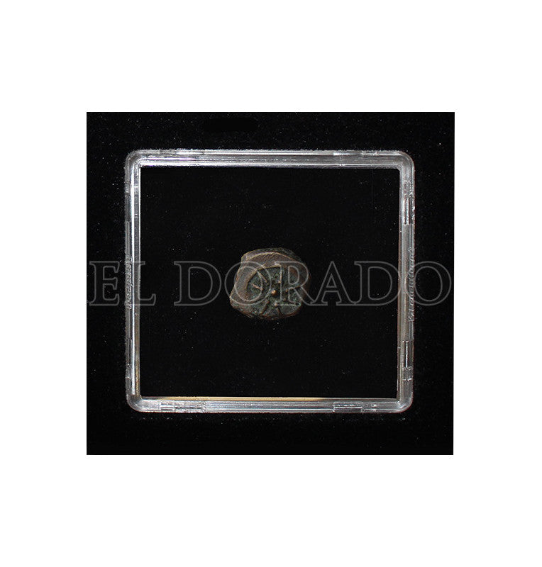 Israel Ácaro de las viudas en M-Box Año -103--76